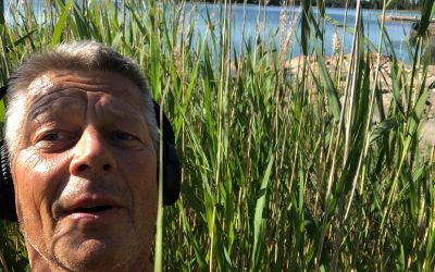 Summer Surprise 16.6