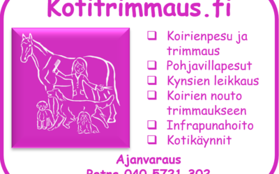 Kotitrimmaus nu på Sports Gym