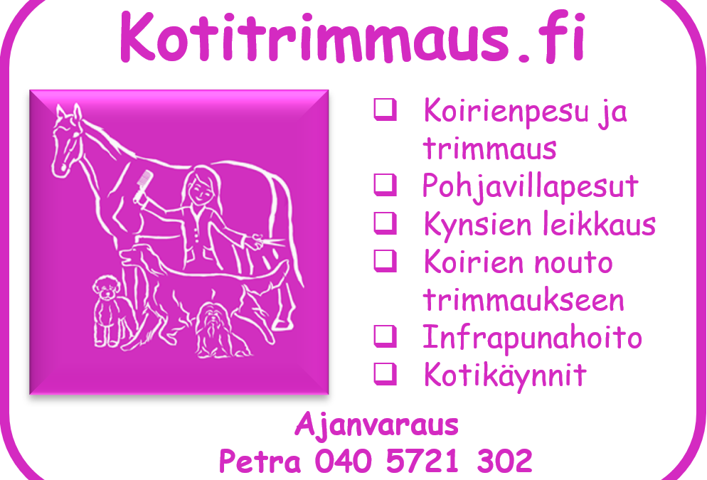 Kotitrimmaus nyt Sports Gymillä